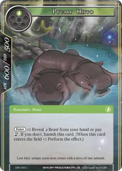 Pygmy Hippo