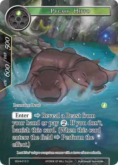 Pygmy Hippo