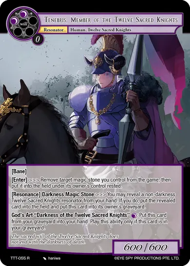 Tenebris, Member of the Twelve Sacred Knights
